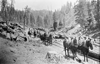 1922 Pioneerville Ralph Reed logging Hall Gulch